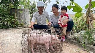 The single mother was very happy when the kind engineer (CEO) gave her some pigs.