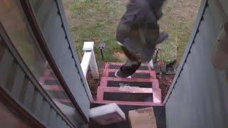 Homeowner Sets Up Booby Trap for Porch Pirates Stealing Packages