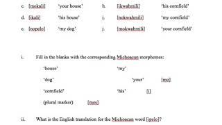Morphology (part 3)