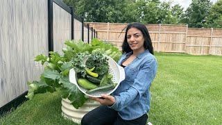 Garden tour of our new house in Canada  | my secret gardening tips