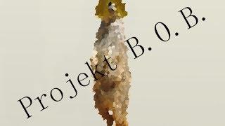 Projekt B.o.B. [Best of FinalMessenger13]