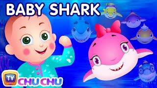 Baby Shark Song | Sing and Dance | Animal Songs for Children | ChuChu TV Nursery Rhymes & Kids Songs