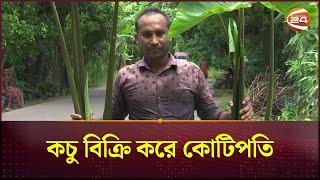 বিশালাকৃতির পানি কচু চাষ করে ভাগ্যবদল করলেন খুলনার নিউটন | Channel 24