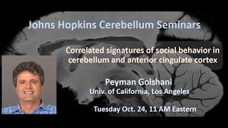 Payman Golshani: Correlated signatures of social behavior in cerebellum and anterior cingulate