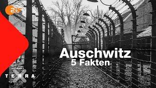 5 Fakten, die ihr über Auschwitz wissen solltet | Terra X