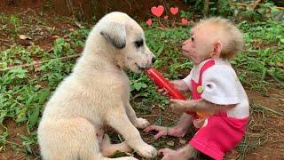 So Sweet! Baby Monkey Moon can’t stop cuddling her new puppy BiBi friend