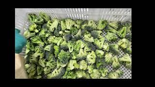 IQF frozen broccoli