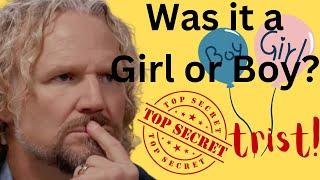 TRIST Secret Revealed! Robyn's Awakening.  PART TWO! Sister Wives S19 Ep16 2nd Half Review