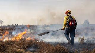 Die Heide brennt  Dokumentation | Die intensive Heidepflege in der Lüneburger Heide