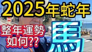 【古柏論命 - 張古柏】2025年乙巳年12生肖整年運勢透析 – 馬