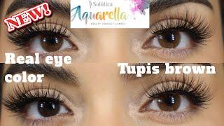 NEW! SOLOTICA TUPIS BROWN | THE MOST NATURAL CONTACT LENSES ON DARK BROWN EYES! 