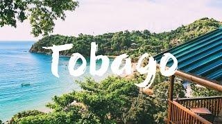 TOBAGO : TOP 10 THINGS to See & Do | Travel Guide