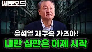 (세로) 윤석열 재구속 가자! 내란 심판은 이제 시작