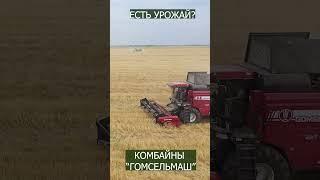 Комбайны ГОМСЕЛЬМАШ | Эпизод 3        #сельскоехозяйство #гомсельмаш #farming #agriculture