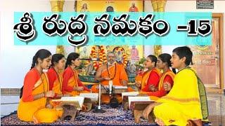 SRI RUDRAM-15 || CLASSES || #SVBP-Sri Veda Bharathi Peetham