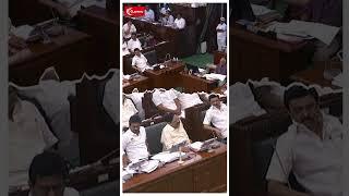 தடுப்பணைகள் கேட்ட MLA! Duraimurugan கொடுத்த Reply! | TN Assembly 2024 | MK Stalin | Udhayanidhi