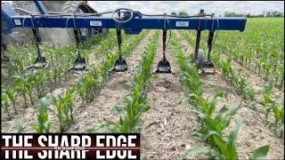 The Sharp Edge: Increasing nitrogen efficiency with Nik Oreskovic