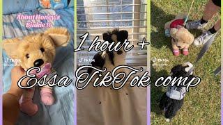 Essa TikTok comp | extra long | 1 hour of TikToks | none are mine