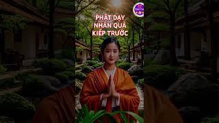 Lời Phật Dạy Nhân Quả Kiếp trước  #loiphatday #tungkinh #Tịnh Tâm #tamtrang #phattaitam