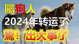 生肖狗在哪年迎來大運？2024年是否為狗人換運之年狗是忠誠善良的象徵，生肖狗作為中國傳統文化中十二生肖之一，生肖都有自己的運勢和運程，生肖狗在哪年迎來大運呢？2024年是否為屬狗人大運之年