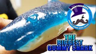 WORLD'S BIGGEST GUMMY SHARK by THE GUMMY BEAR GUY *** REVIEW ***