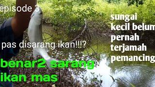 MANCING.!!! Belum pernah terjamah pemancing  episode3. #viral #mancingliar @CahyonoPutra7