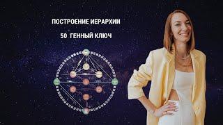 Как построить иерархию? 50 Генный ключ