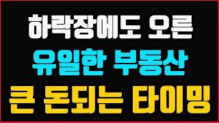 아파트 급락할 때 오히려 오른 유일한 부동산 모아타운! 모아타운은 "이 때" 들어가야 큰 돈 됩니다! 부동산 해결사 솔로몬