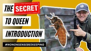 Introducing A Mated Queen To A Hive  | Step-by-Step Guide for Beekeepers