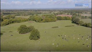 WarnerGray Estate Agents. Tenterden. Woodchurch property for sale. Edwardian houses. Country life.