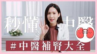 男生必看！腎虛怎麼改善？最詳細的中醫補腎大全！｜芋泥中醫師