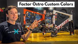 Factor Ostro Vam Prisma Studio Build