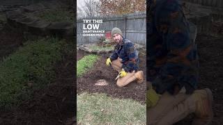 Garden Path- Low Maintenance