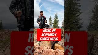 Hiking in Scotland forests after tree felling #hikinglife #backpacking