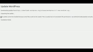 How to solve wordpress - The update cannot be installed because some files could not be copied