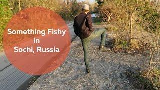 Something Fishy in Sochi, Sochi, Russia | Olya Huntley [Travel] Vlog 09