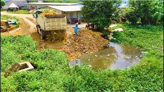 Great New Project!!Delete Pond Dump Truck Loading Stone, Bulldozer Pushing Stone & Soil Perfectly