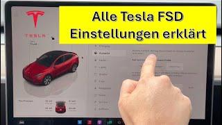 Tesla FSD Einstellungen erklärt