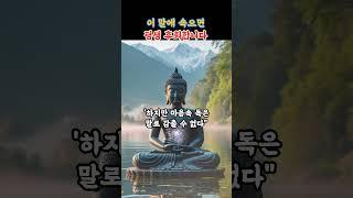 부처님 말씀 착한 사람일수록 속기 쉬운 이 말|부처님 가르침|감정정화|깨달음|평온한삶|인간관계|불교오디오북