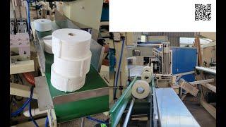 New Design Small Toilet paper roll & Maxi roll bandsaw cutting machine