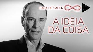 VOCÊ PREFERE: A COISA OU A IDEIA DA COISA? | LUIZ ALBERTO HANNS