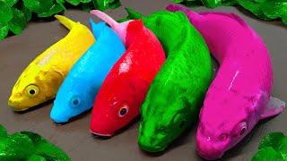 Stop Motion ASMR - Pink Koi fish pool, Catfish trap turtles | Crocodile Carp Fishing Compilation