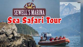 SEWELL'S MARINA Sea Safari Tour 2022 #britishcolumbia