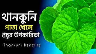 থানকুনি পাতার উপকারিতা কি ? Thankuni Patar Upokarita in Bengali