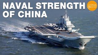 Naval Strength of China | South China sea