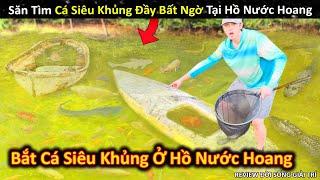 Săn Tìm Cá Siêu Khủng Không Ai Ngờ Tại Hồ Nước Bỏ Hoang || Review Giải Trí Đời Sống