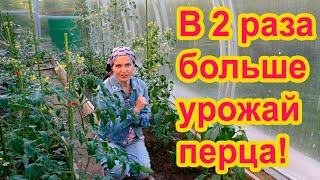 Как формировать перцы