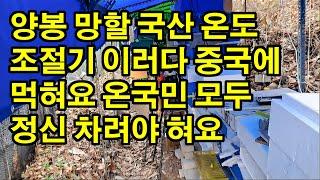 양봉 망할 국산 온도조절기 이러다 중국에 먹혀요 온국민 모두 정신 차려야 혀요