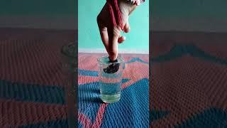 water vs magnet New science experiments  # shorts