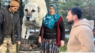 DAĞDA  KURTLARIN PEŞİNDE / KILIÇ KUŞANANIN  AT BİNENİNDİR !!! HANIM ANNE VE KÖPEKLERİ